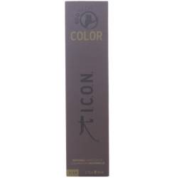 ECOTECH COLOR natural color #10.0 natural platinum
